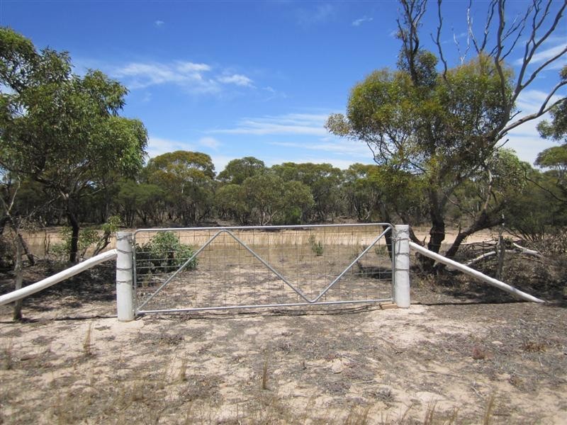 Lot 19 Sceale Bay Road, Streaky Bay SA 5680