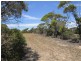 Lot 19 Sceale Bay Road, Streaky Bay SA 5680