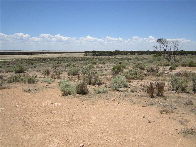 Lot 300 Hastings Road, Ceduna SA 5690