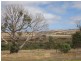 Lot 91 White Flat Road, Port Lincoln SA 5606