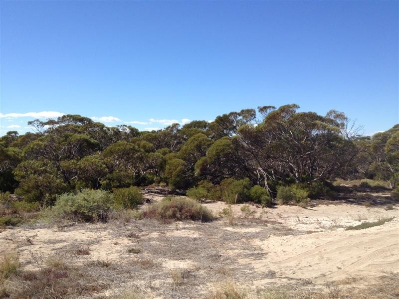 5 Beattie Court SMOKY BAY, Ceduna SA 5690