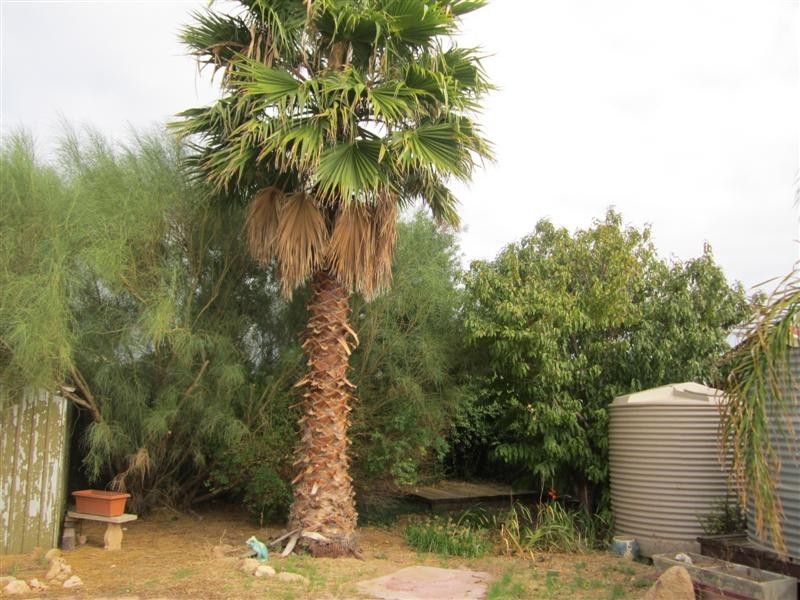 4 Park Terrace, Ceduna SA 5690