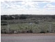 Lot 8 Bosanquet Boulevard, Ceduna Waters, Ceduna SA 5690
