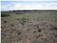 Lot 8 Bosanquet Boulevard, Ceduna Waters, Ceduna SA 5690