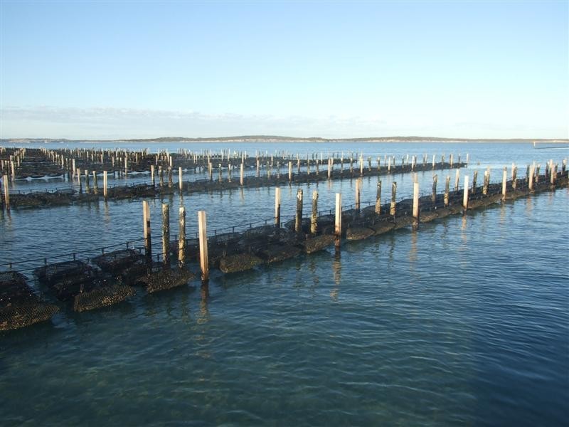 Shed 4 Lawrie Road, Coffin Bay SA 5607