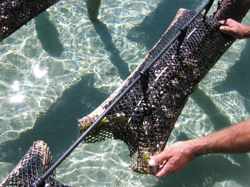 Shed 4 Lawrie Road, Coffin Bay SA 5607