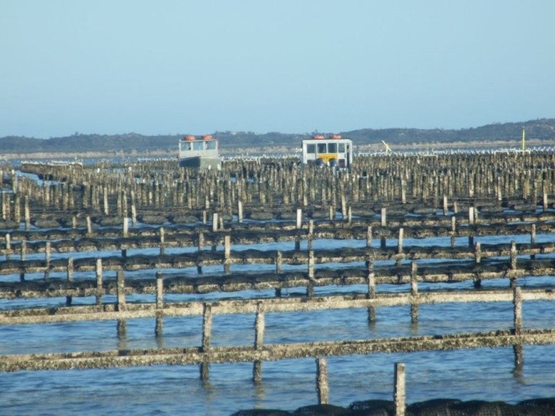 Shed 4 Lawrie Road, Coffin Bay SA 5607