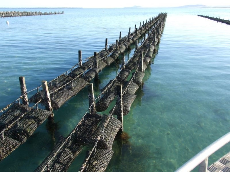 Shed 4 Lawrie Road, Coffin Bay SA 5607