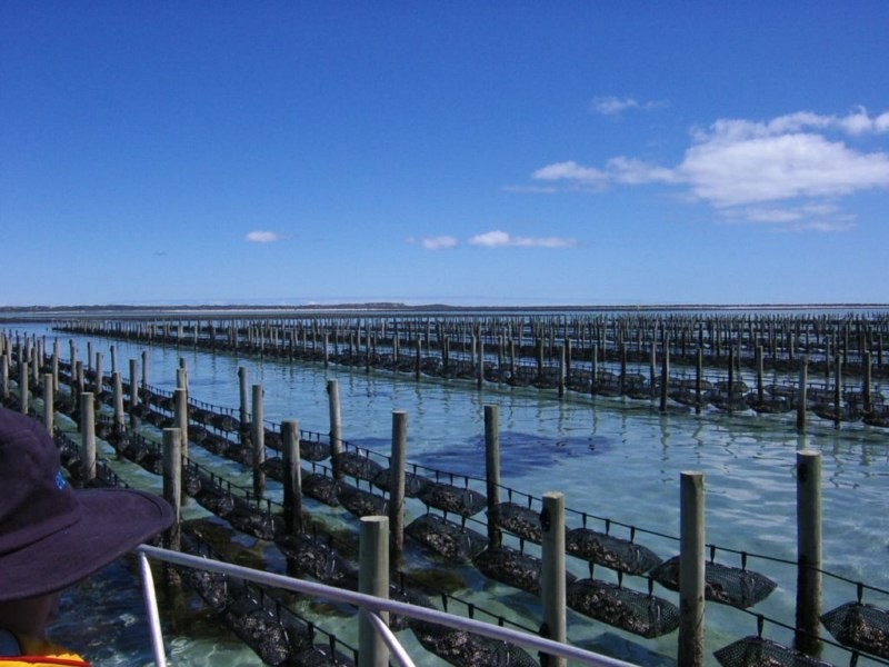 Shed 4 Lawrie Road, Coffin Bay SA 5607