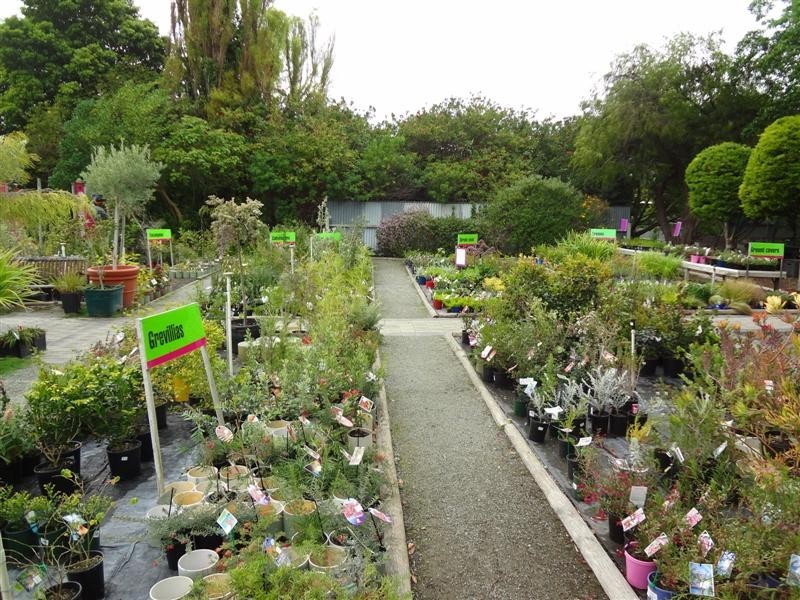 10 Shaen Street, Port Lincoln SA 5606