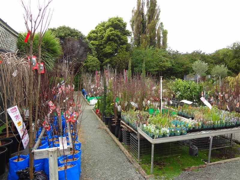 10 Shaen Street, Port Lincoln SA 5606