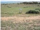 Lot 11 Bosanquet Boulevard, Ceduna Waters, Ceduna SA 5690