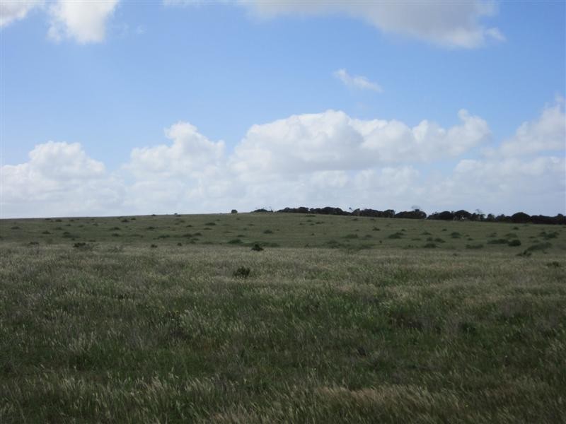 Lot 282 Bosanquet Boulevard, Ceduna Waters, Ceduna SA 5690