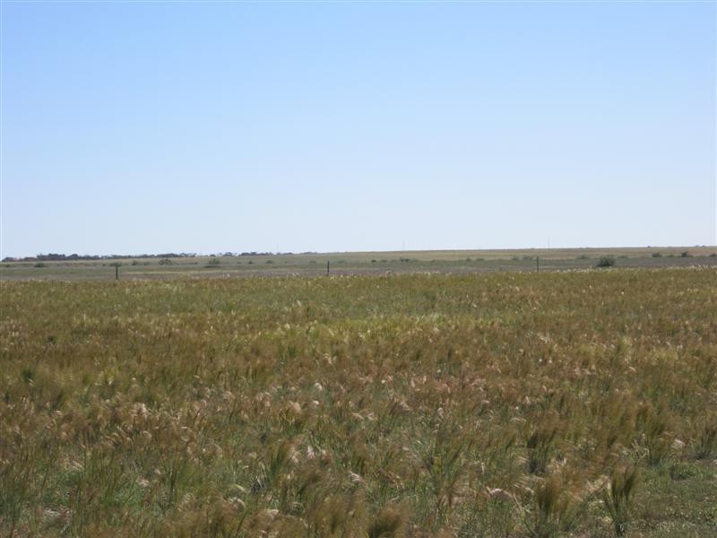 Lot 2 Denial Bay Road, Denial Bay SA 5690