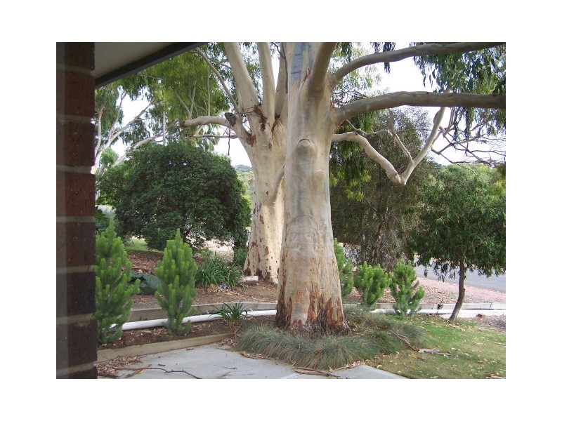 31 Milton Avenue, Port Lincoln SA 5606