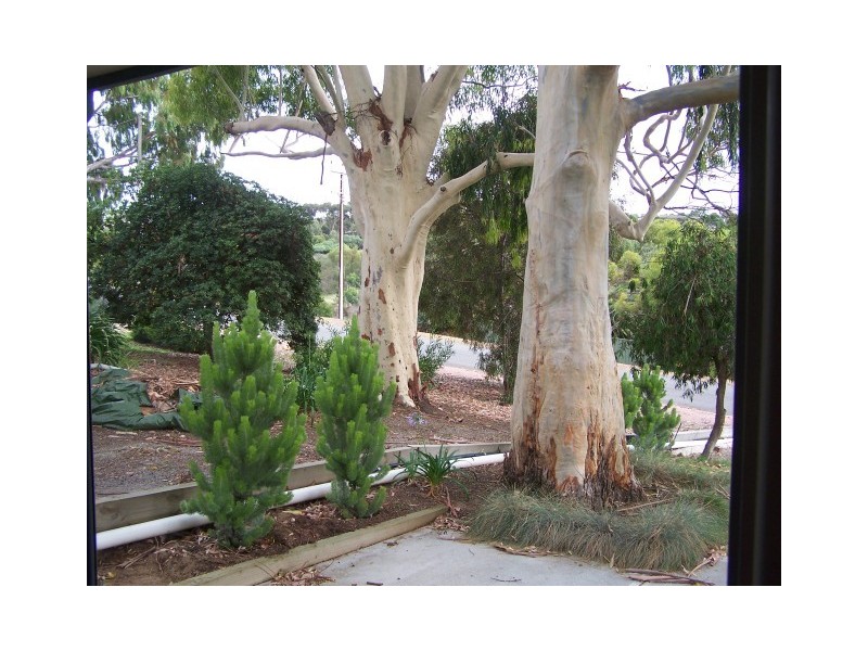 31 Milton Avenue, Port Lincoln SA 5606