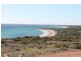 Lot 4 Flinders Highway, Perlubie SA 5680