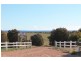 Lot 4 Flinders Highway, Perlubie SA 5680