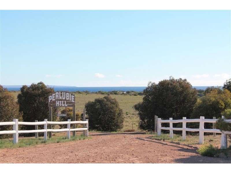 Lot 4 Flinders Highway, Perlubie SA 5680