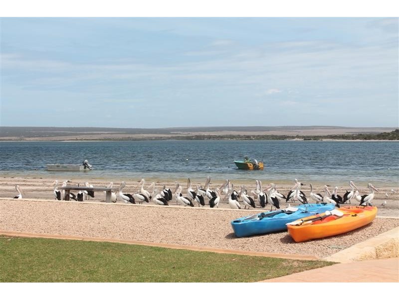 33 Baird Bay Road, Baird Bay SA 5671