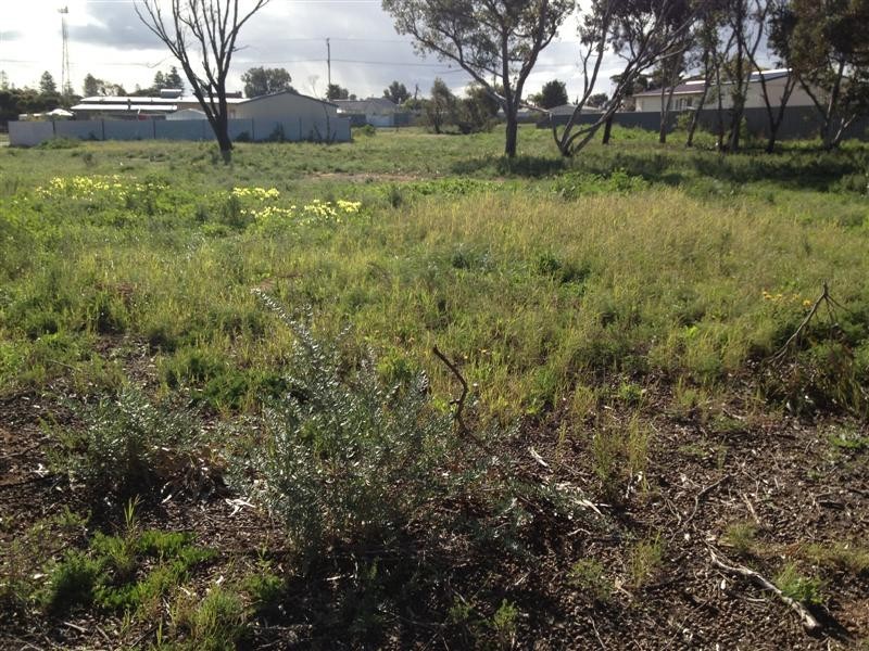 36 Kloeden Street, Ceduna SA 5690