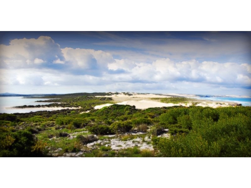 Lot 12 Mary Ellis Wreck Road, Sleaford via, Port Lincoln SA 5606