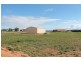 Lot 18 Potomac Place, Ceduna SA 5690