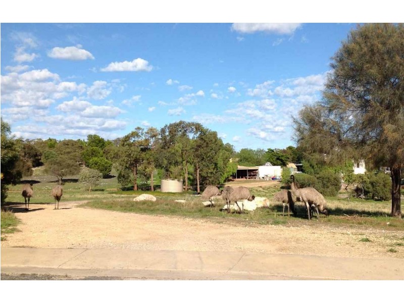 3/9 Benson St, Coffin Bay SA 5607