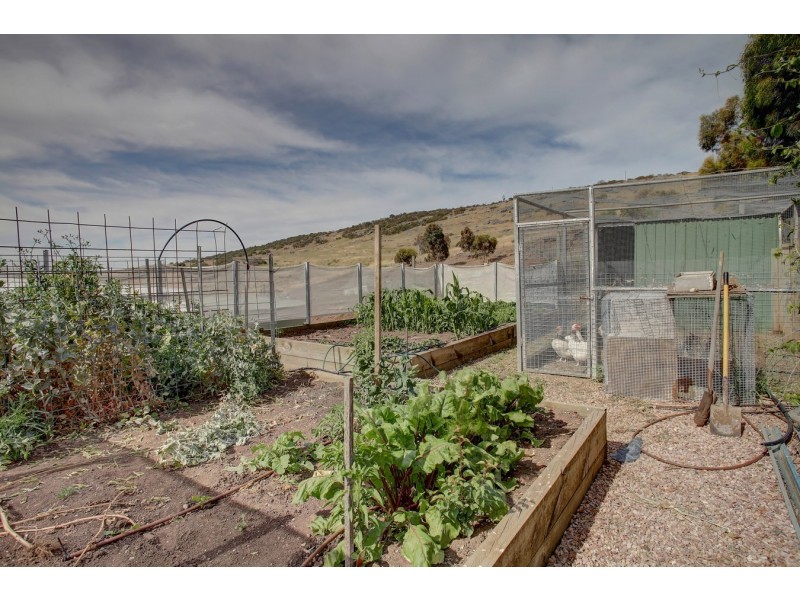 29-33 Thornbill Road, Boston SA 5607