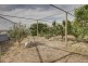 29-33 Thornbill Road, Boston SA 5607