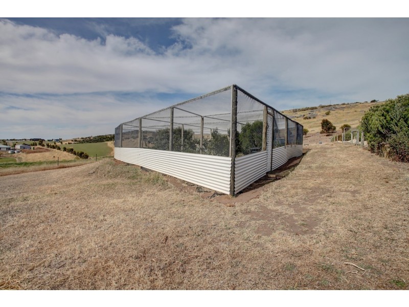29-33 Thornbill Road, Boston SA 5607