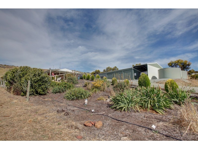 29-33 Thornbill Road, Boston SA 5607