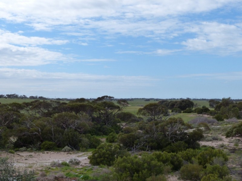 1 Zippel Court, Smoky Bay SA 5680