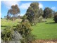 Lot 8 Panoramic Drive, Boston SA 5607