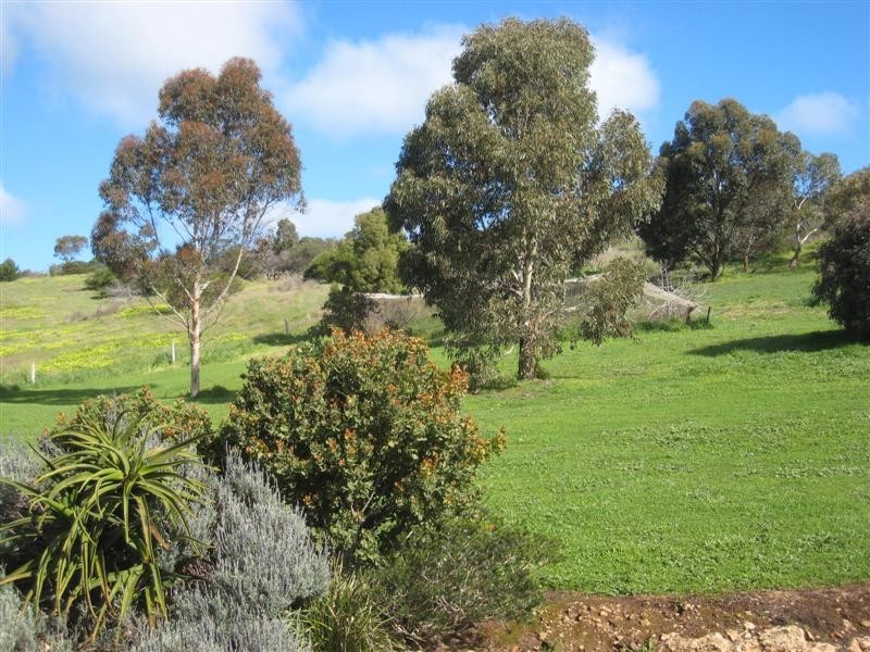 Lot 8 Panoramic Drive, Boston SA 5607