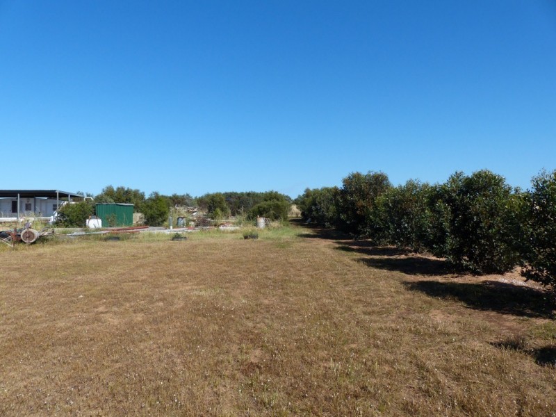 Lot 102 Government Road, Penong SA 5690