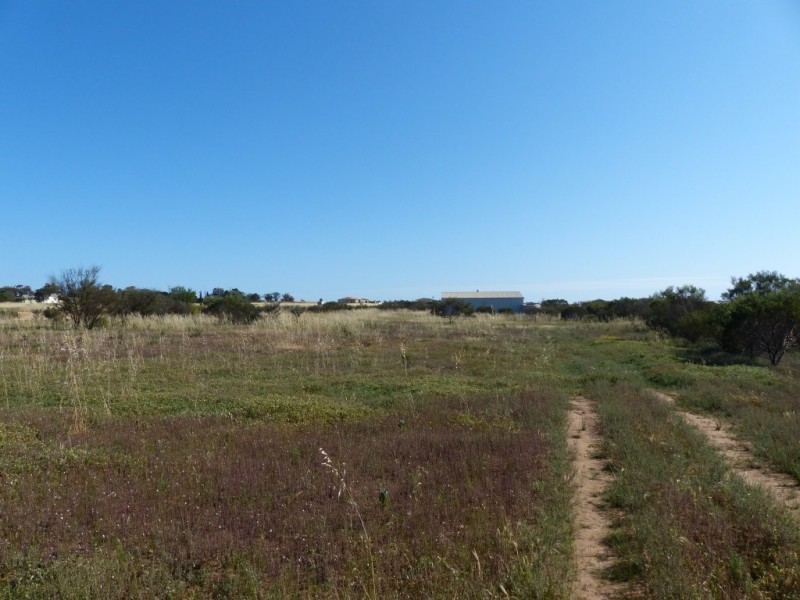 Lot 102 Government Road, Penong SA 5690