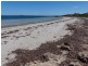 Lot 284 Bosanquet Boulevard, Ceduna SA 5690