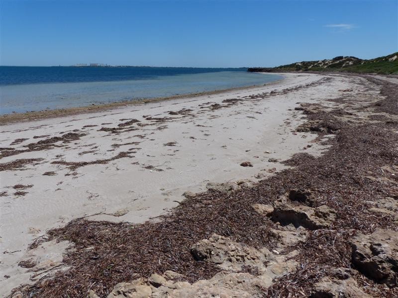 Lot 284 Bosanquet Boulevard, Ceduna SA 5690