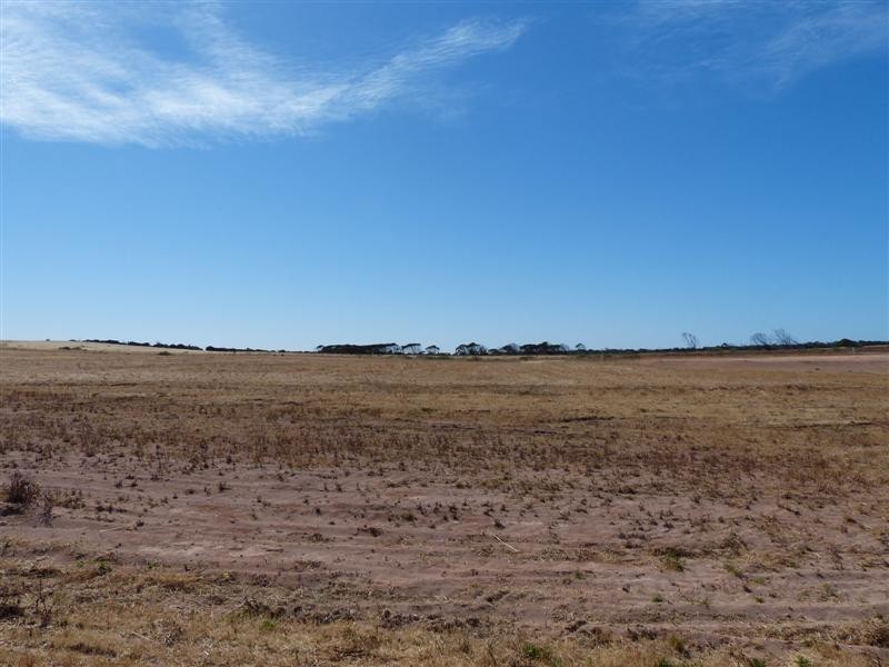 Lot 284 Bosanquet Boulevard, Ceduna SA 5690