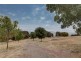 Lot 54 Sanctuary Drive, Boston SA 5607