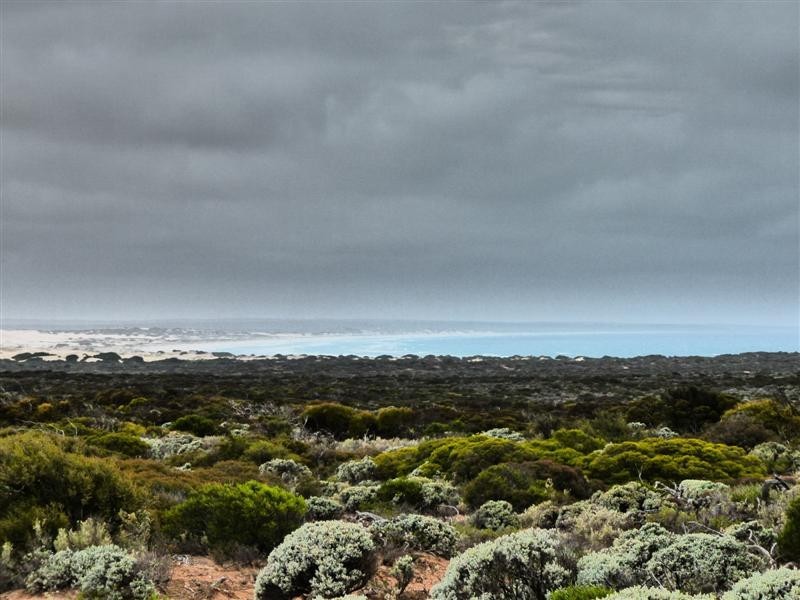 Section 22 Clare Bay Road, Bookabie SA 5690