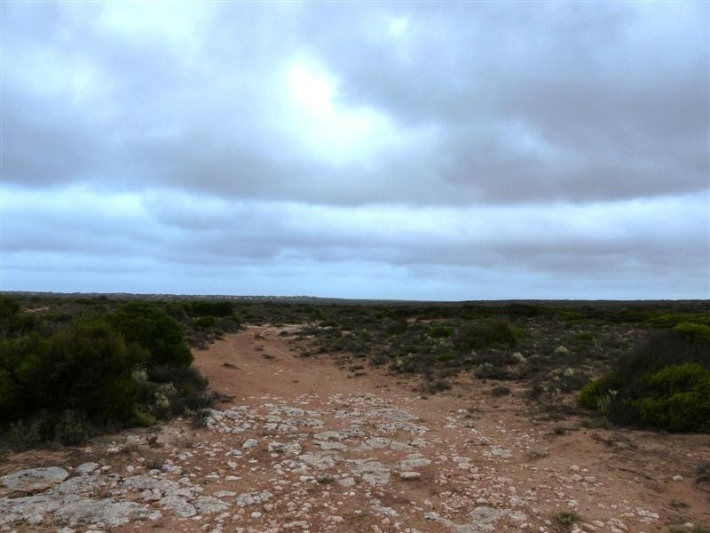 Section 22 Clare Bay Road, Bookabie SA 5690