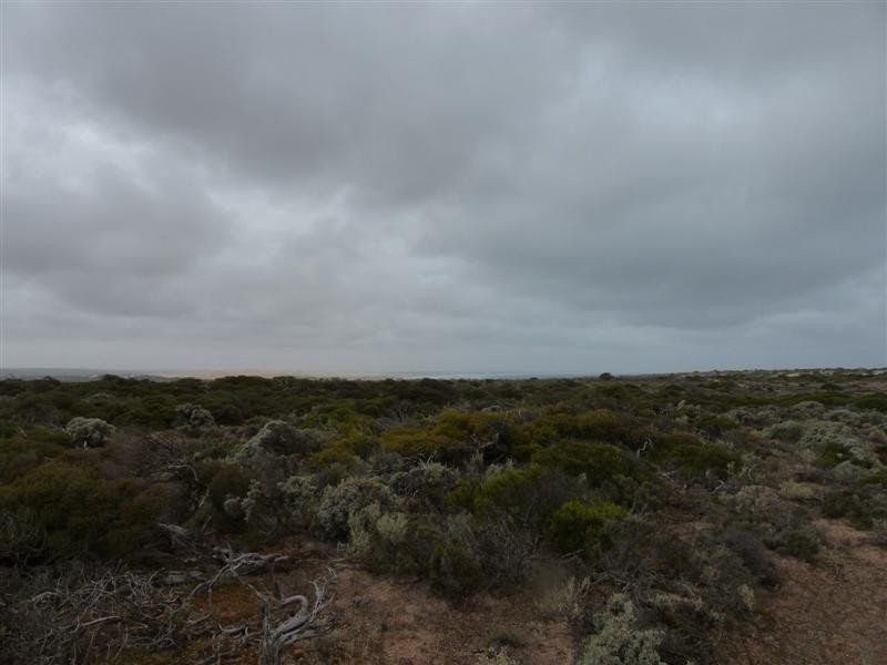 Section 22 Clare Bay Road, Bookabie SA 5690