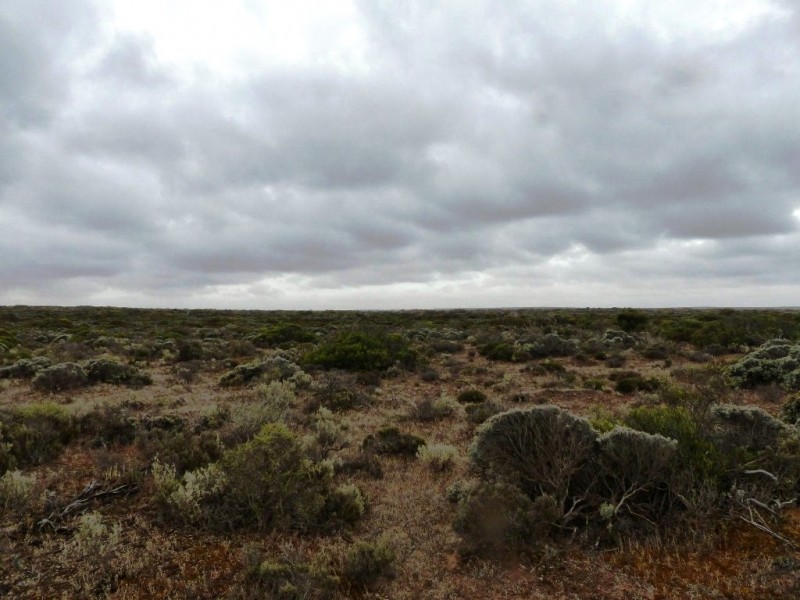 Section 22 Clare Bay Road, Bookabie SA 5690