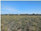Lot 280 Bosanquet Boulevard, Ceduna SA 5690