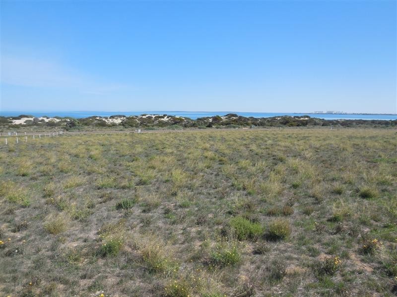 Lot 280 Bosanquet Boulevard, Ceduna SA 5690