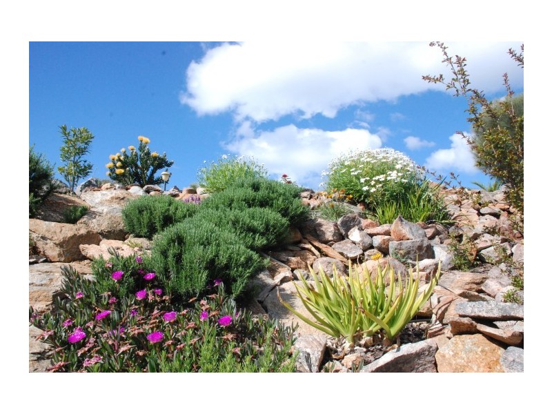 130-140 Roberts Road, Boston SA 5607