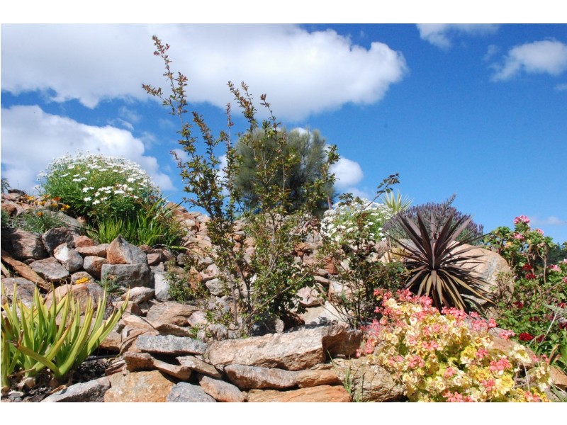 130-140 Roberts Road, Boston SA 5607