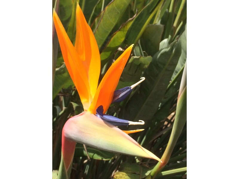 4/86 London Street, Port Lincoln SA 5606